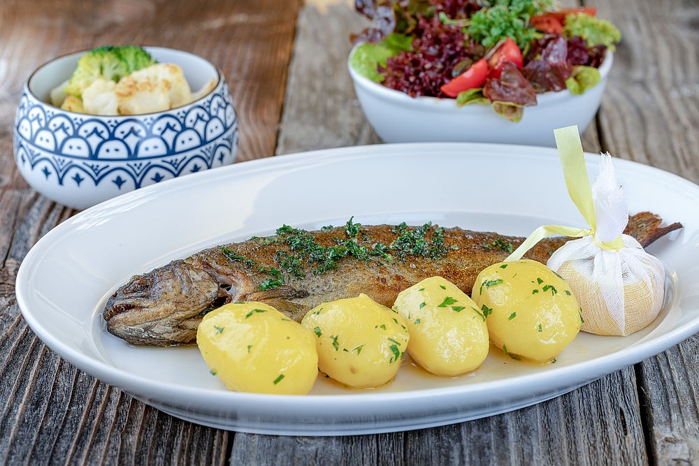 Ein Fisch wird mit Kartoffeln, Salat und Gemüse auf einem Teller serviert im Gasthof Goldgasse Salzburg. 